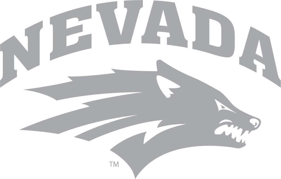 Nevada Wolf Pack 2023-Pres Alternate Logo diy DTF decal sticker